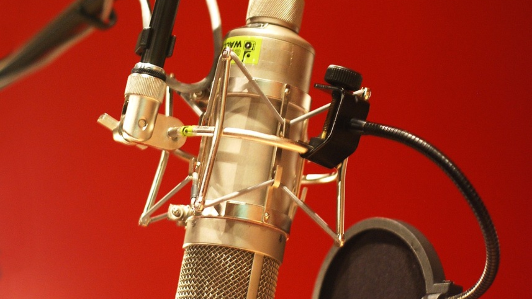 charimoor mic